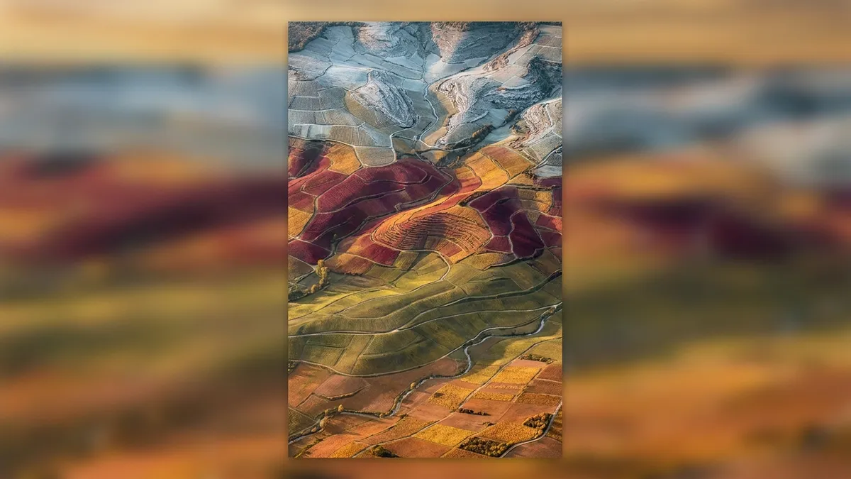 Stylized vertical map of Burgundy from Chablis in the north down through the Côte d'Or to the Mâconnais, vineyards in warm autumn tones
