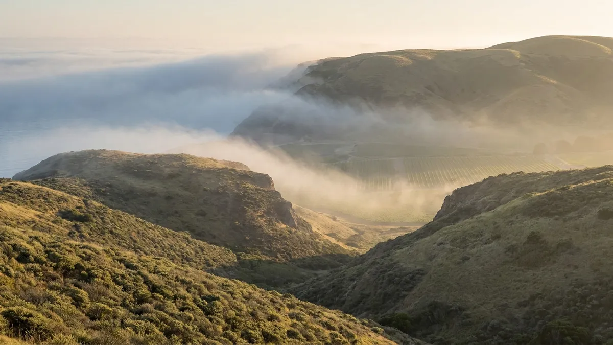 Morning mist flowing through a low gap in coastal hills and spilling into a sunlit vineyard valley beyond