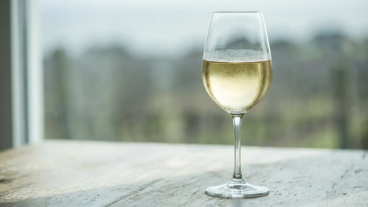 A single glass of pale straw-colored white wine catching cool morning light with condensation on the glass