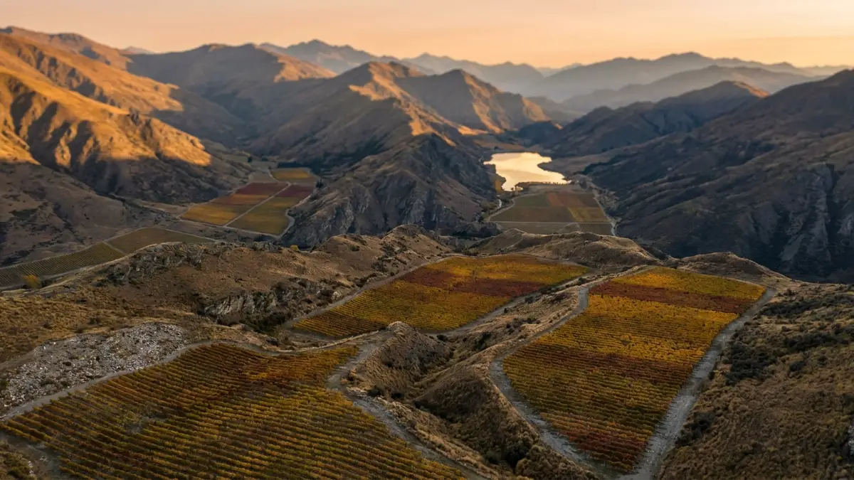 Stylized view of separate Central Otago vineyard basins among schist mountains, autumn vines in warm gold and rust tones