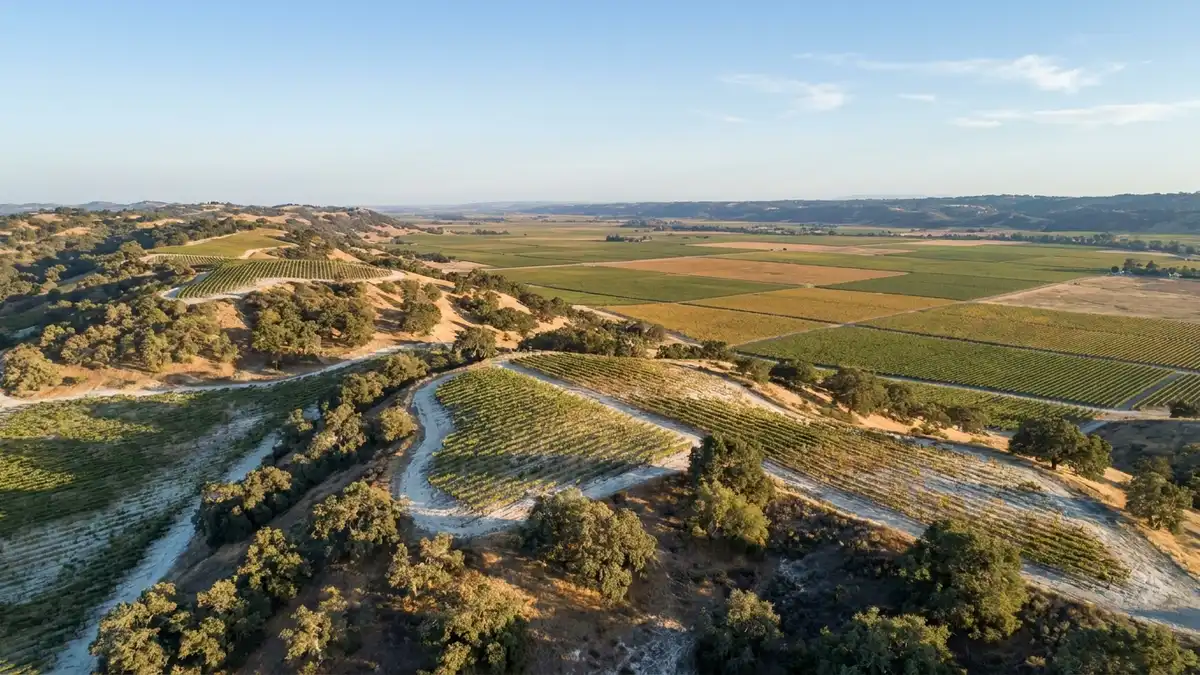 Map-free aerial view of Paso Robles vineyards spreading from cooler western hills toward warmer flat valley floor under a clear sky