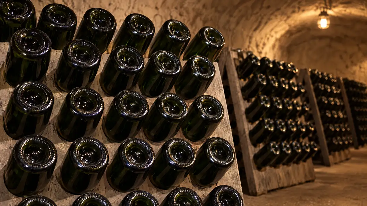 Dark sparkling wine bottles resting neck-down in wooden riddling racks in a dim chalk cellar