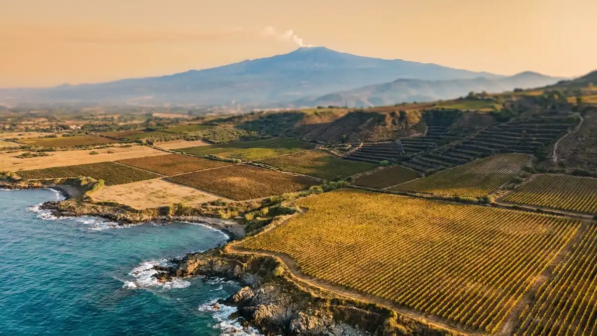 Aerial view of Sicily's varied wine country, golden coastal vineyards meeting the deep blue Mediterranean with Mount Etna smoking in the distance