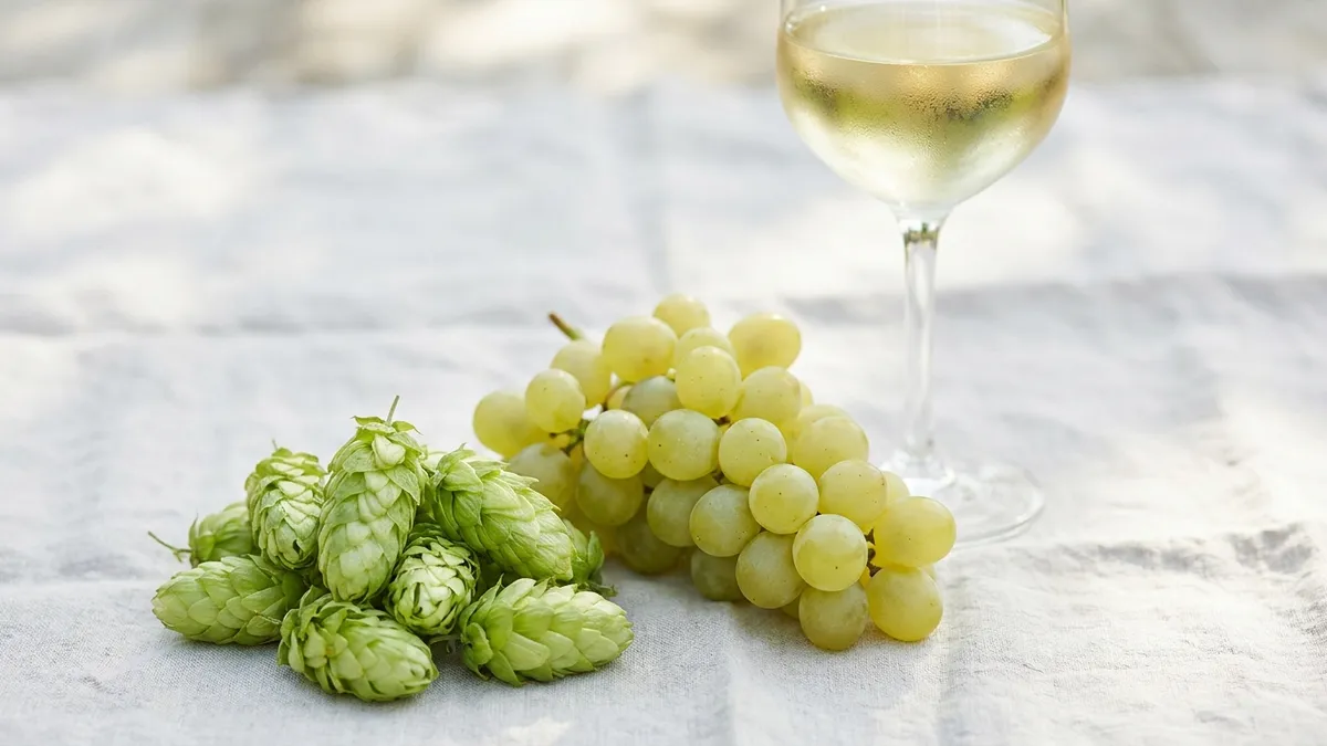 Fresh green hop cones beside a cluster of pale green grapes and a glass of pale white wine on linen